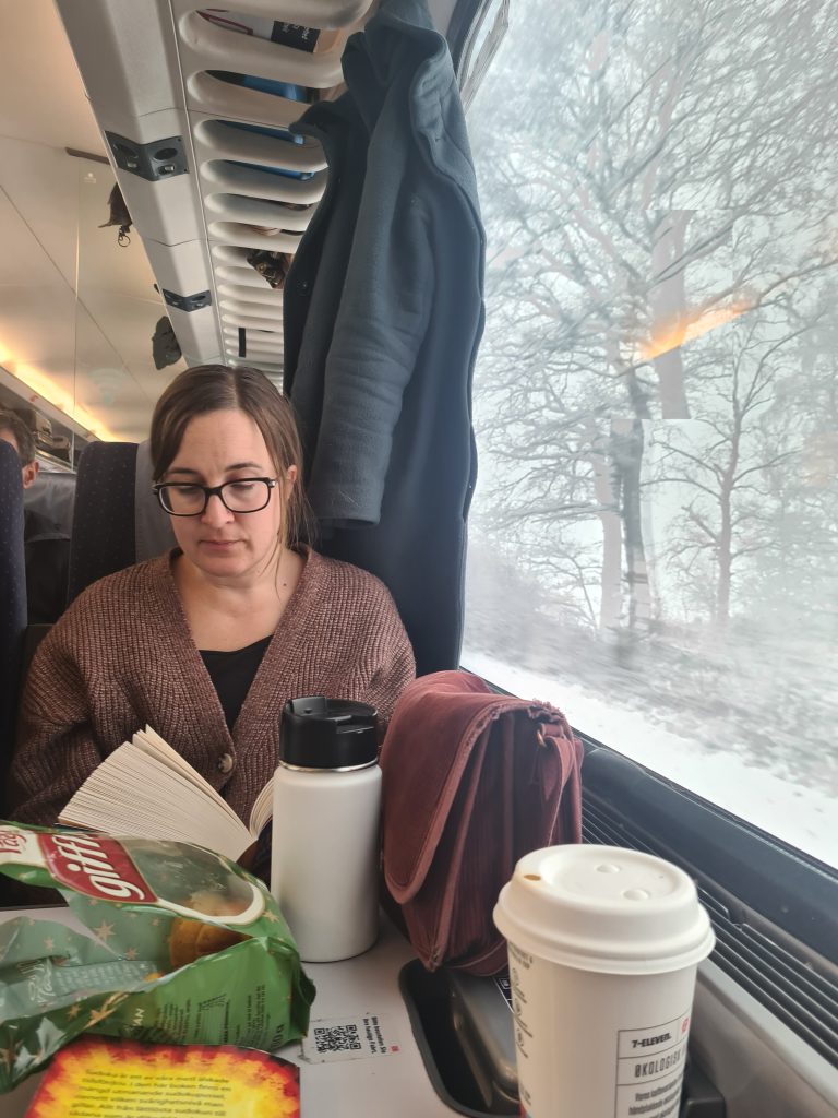 Woman reading on a train. Photo.