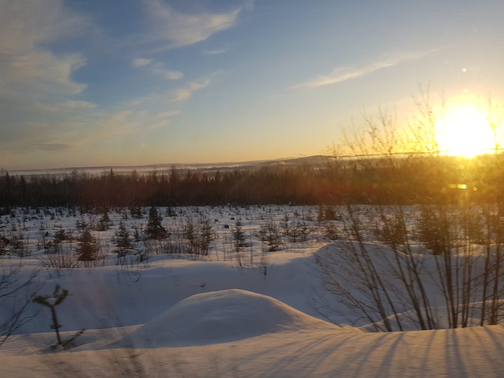A snow-covered landscape from a train window. Photo.