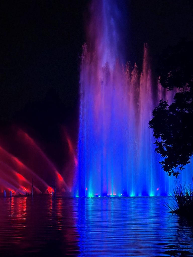 A water light show with water shooting up in the air, coloured blue and red by light. Photo.